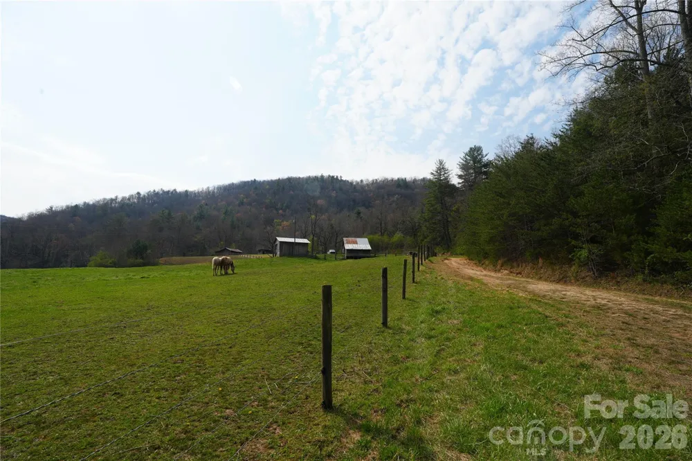 316 Lewis Fork Baptist Church Road Purlear, NC 28665