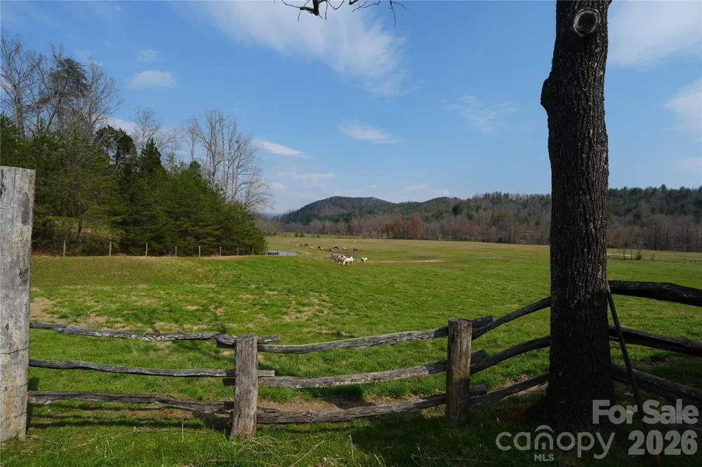 316 Lewis Fork Baptist Church Road Purlear, NC 28665