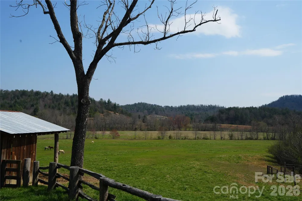 316 Lewis Fork Baptist Church Road Purlear, NC 28665