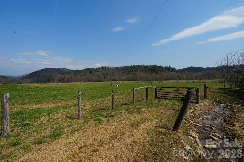 316 Lewis Fork Baptist Church Road Purlear, NC 28665