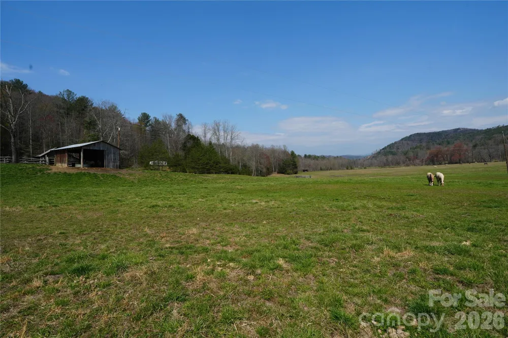 316 Lewis Fork Baptist Church Road Purlear, NC 28665