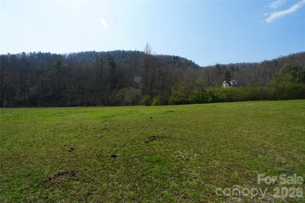 316 Lewis Fork Baptist Church Road Purlear, NC 28665