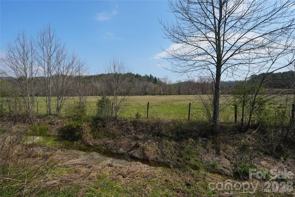 316 Lewis Fork Baptist Church Road Purlear, NC 28665
