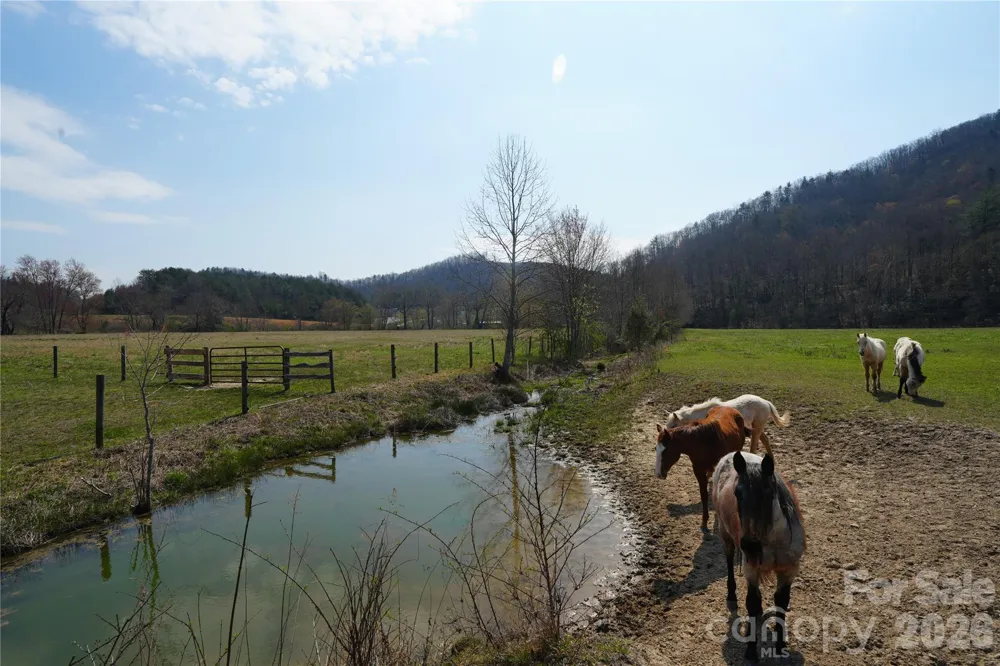 316 Lewis Fork Baptist Church Road Purlear, NC 28665