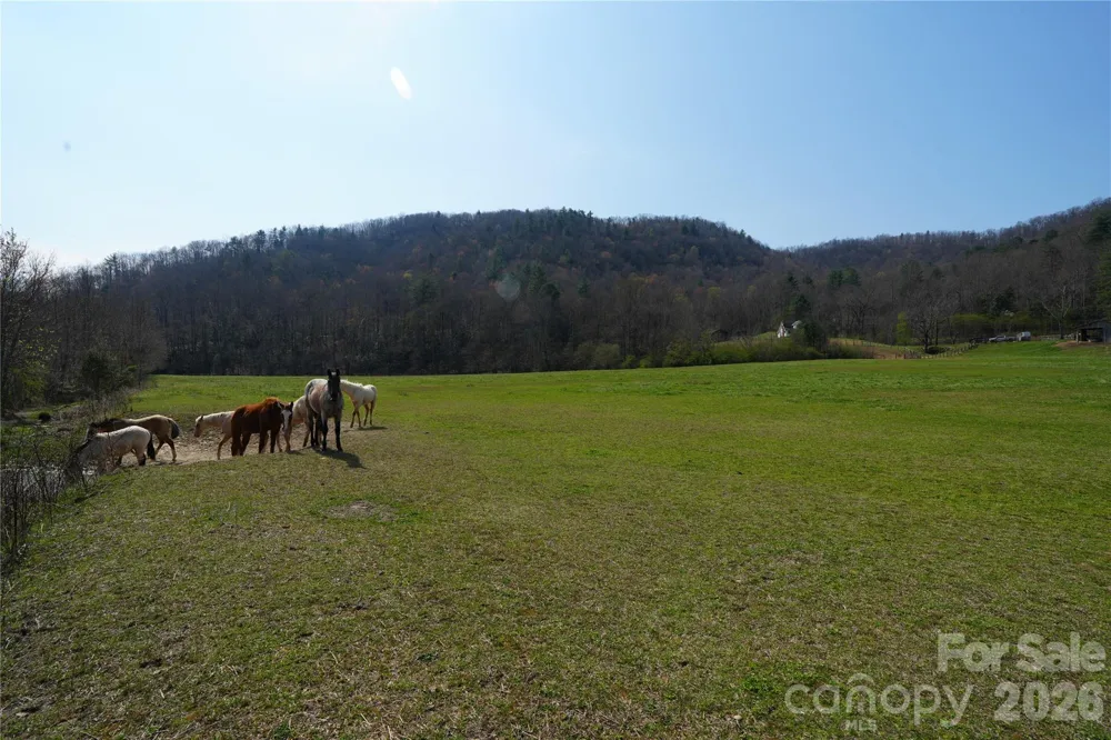 316 Lewis Fork Baptist Church Road Purlear, NC 28665