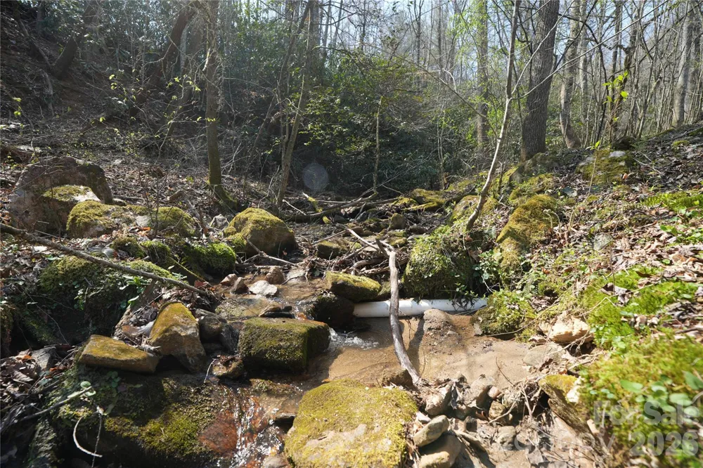 316 Lewis Fork Baptist Church Road Purlear, NC 28665