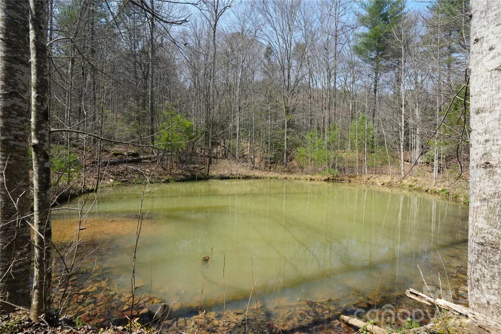 316 Lewis Fork Baptist Church Road Purlear, NC 28665