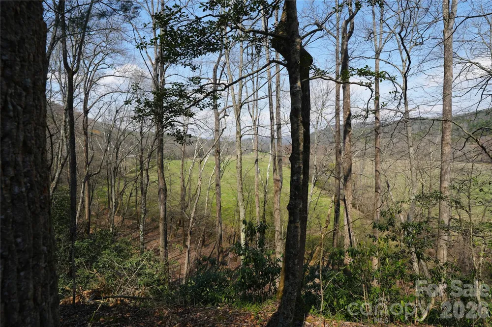 316 Lewis Fork Baptist Church Road Purlear, NC 28665