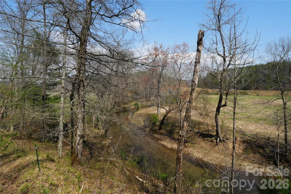 316 Lewis Fork Baptist Church Road Purlear, NC 28665