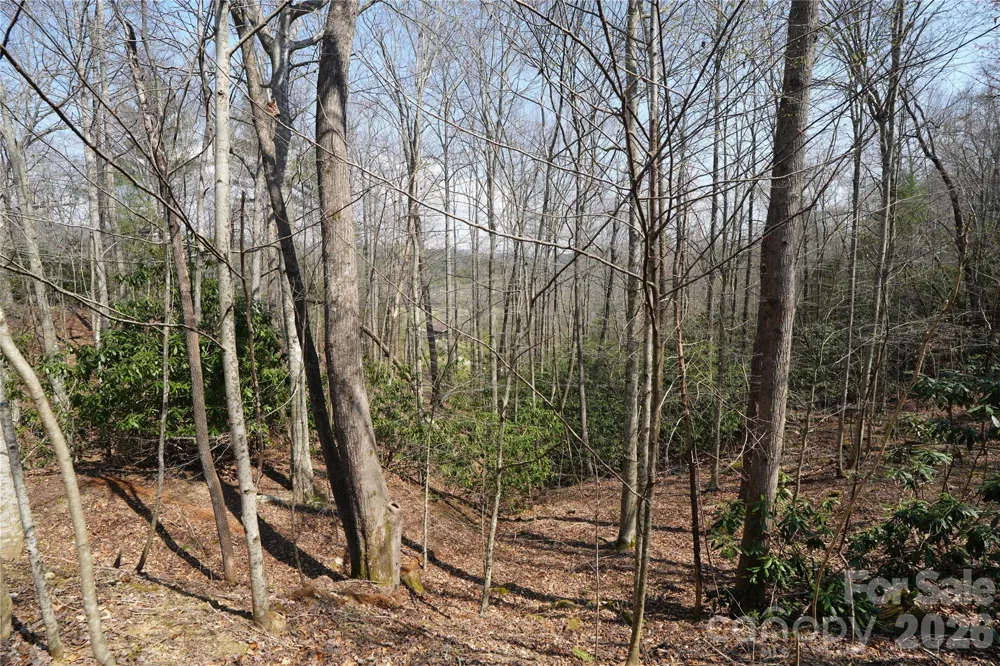 316 Lewis Fork Baptist Church Road Purlear, NC 28665