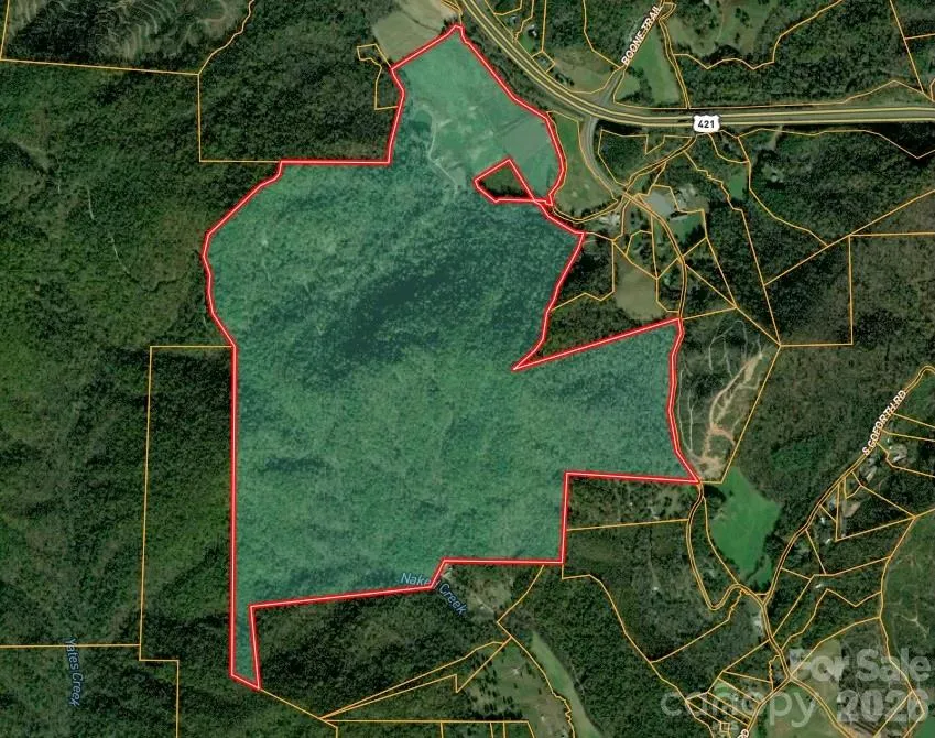 316 Lewis Fork Baptist Church Road Purlear, NC 28665
