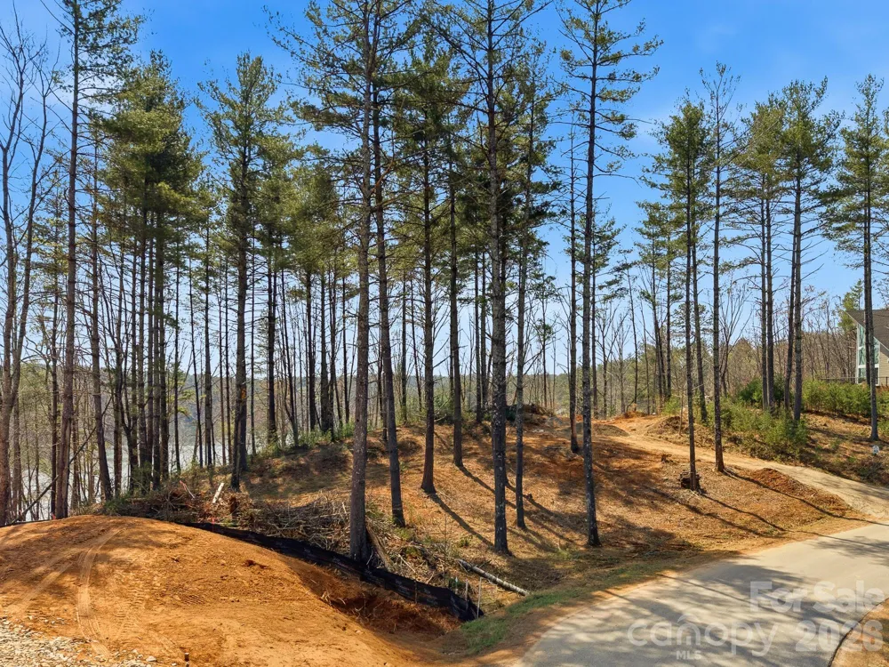 291 S Crest View Street Nebo, NC 28761