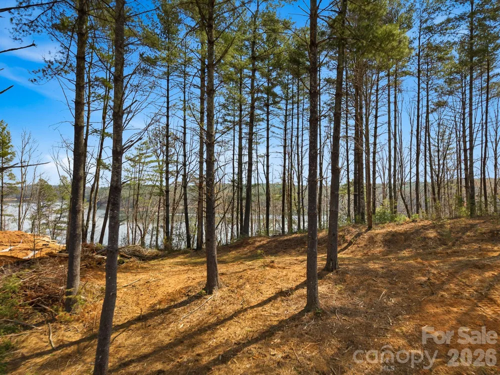 291 S Crest View Street Nebo, NC 28761
