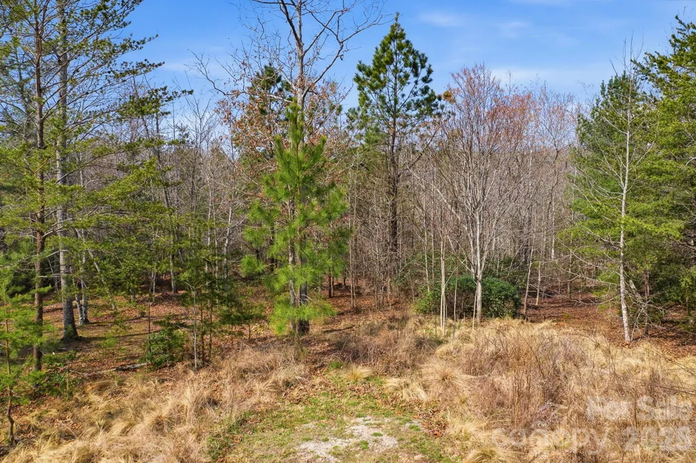 184 Ridge Point Road Nebo, NC 28761