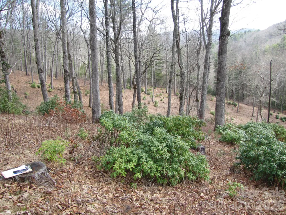 580 Robinson Creek Road Glenville, NC 28736