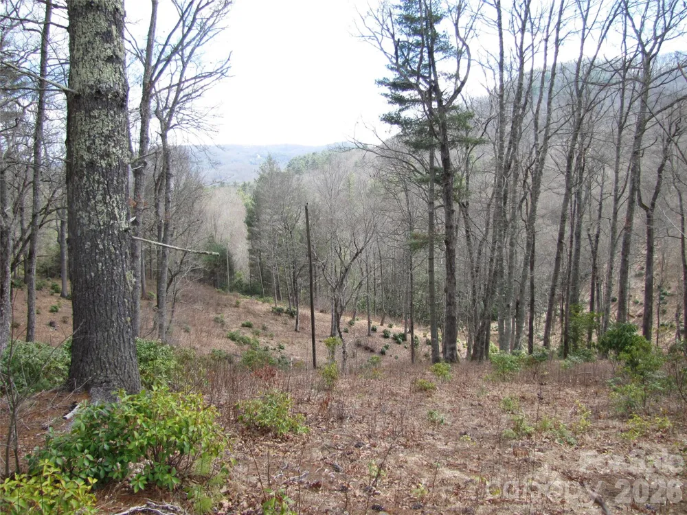 580 Robinson Creek Road Glenville, NC 28736