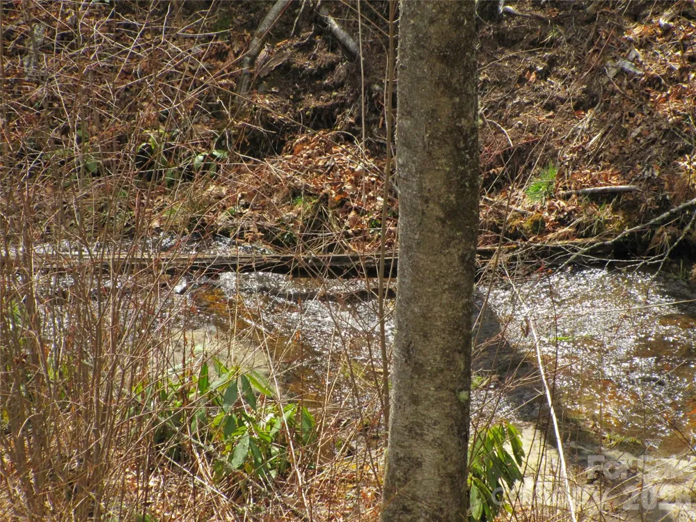 580 Robinson Creek Road Glenville, NC 28736