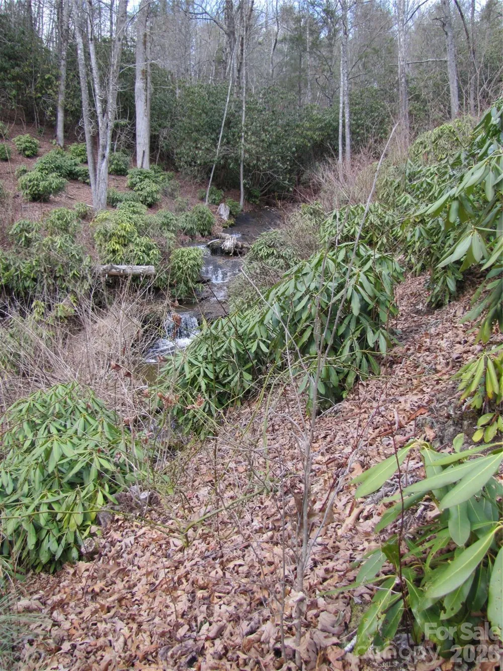 580 Robinson Creek Road Glenville, NC 28736