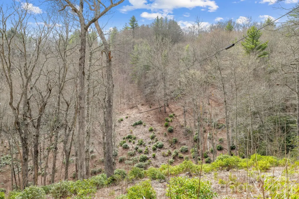 580 Robinson Creek Road Glenville, NC 28736