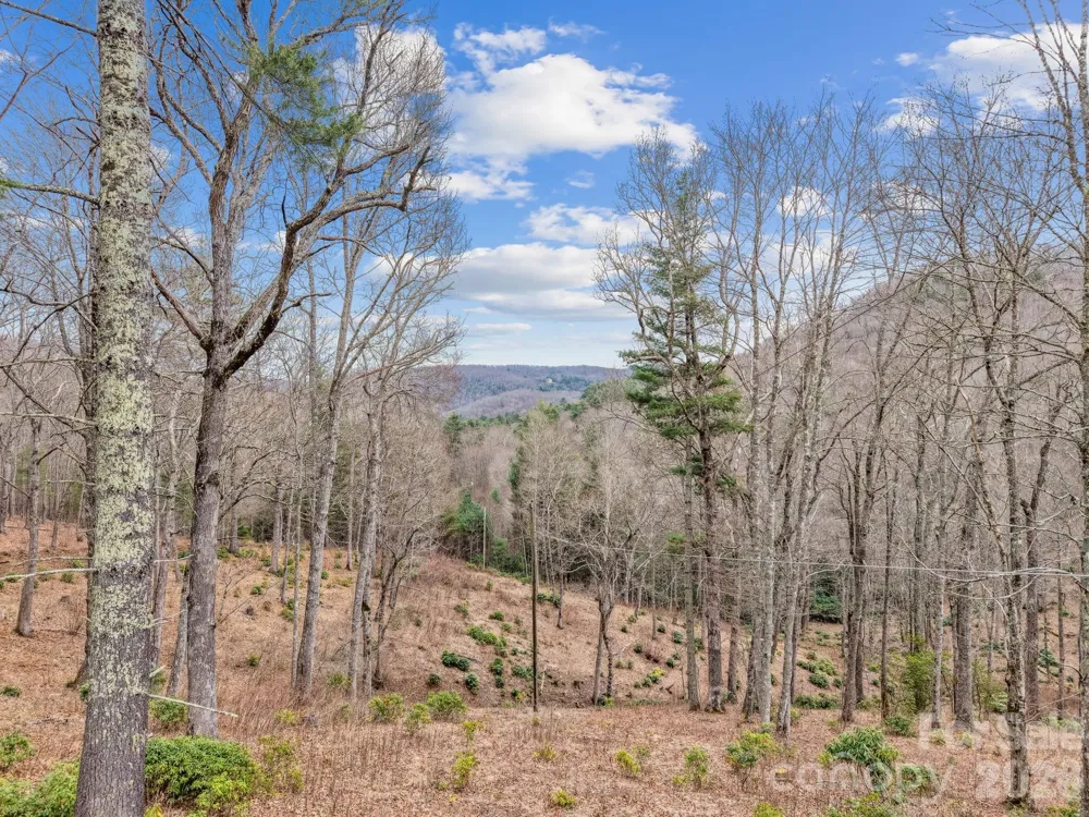 580 Robinson Creek Road Glenville, NC 28736