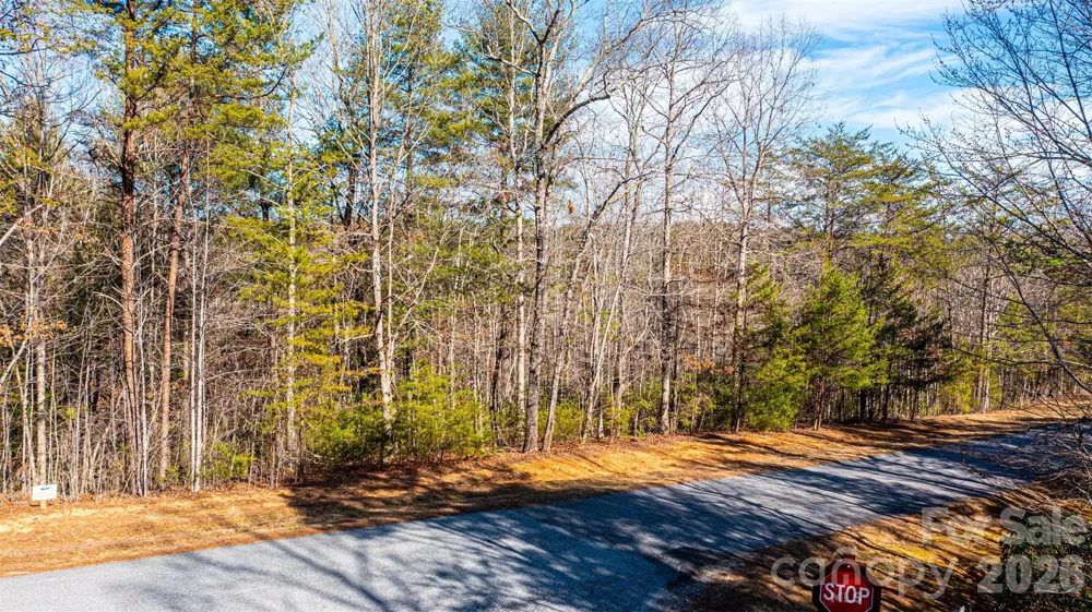 4420 Walnut Ridge Drive Lenoir, NC 28645