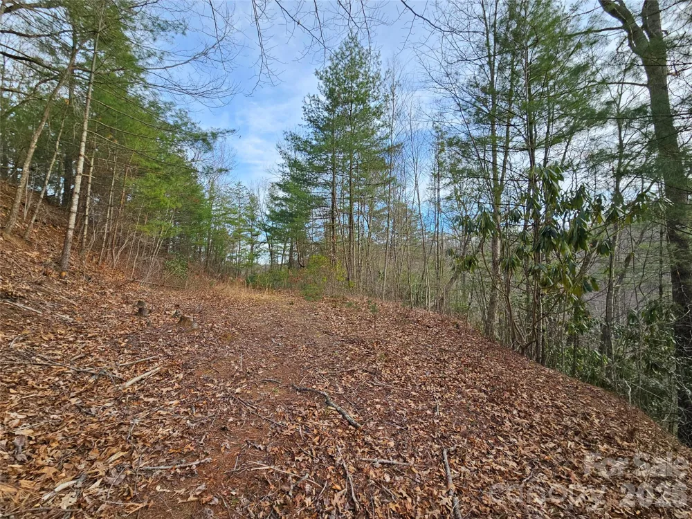 00 Wispy Willow Drive #22T Waynesville, NC 28785