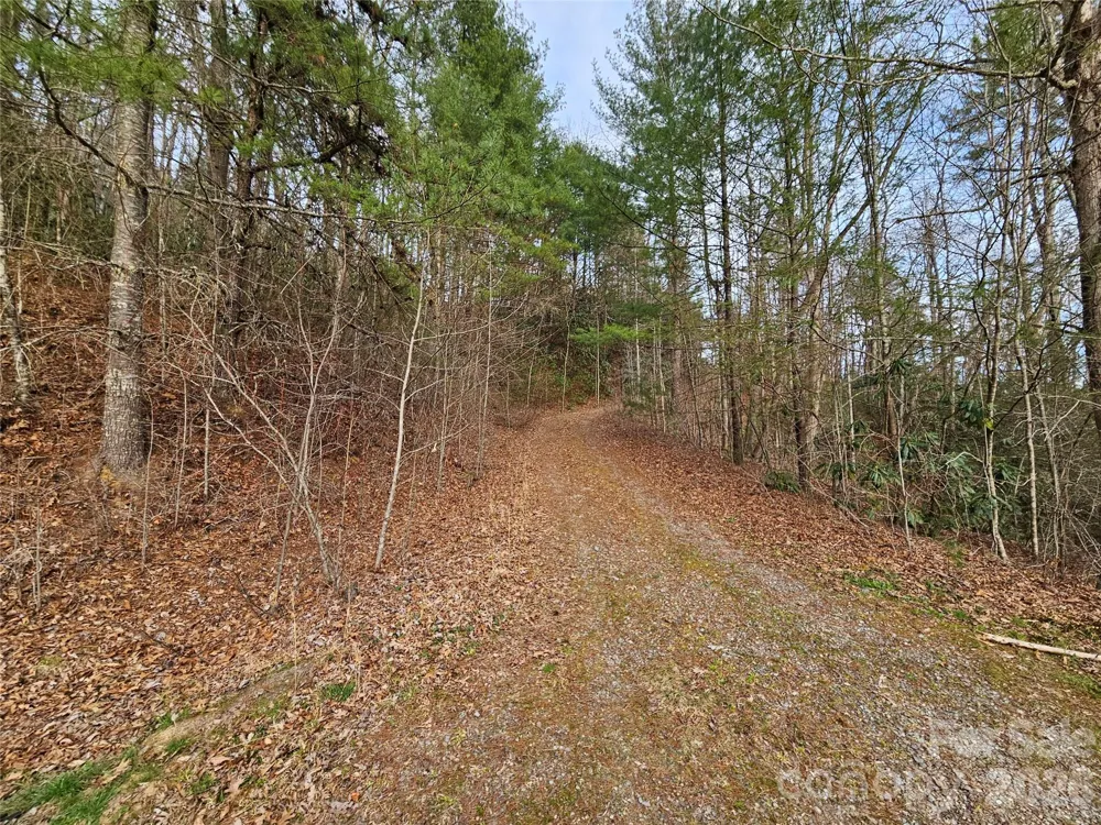 00 Wispy Willow Drive #22T Waynesville, NC 28785
