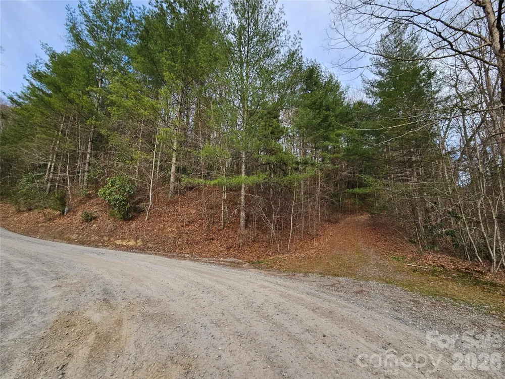 00 Wispy Willow Drive #22T Waynesville, NC 28785