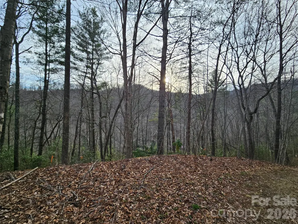 00 Wispy Willow Drive #22T Waynesville, NC 28785