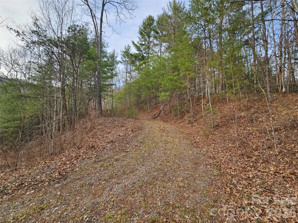 00 Wispy Willow Drive #22T Waynesville, NC 28785