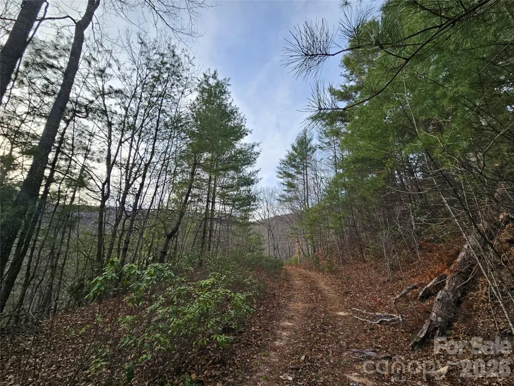 00 Wispy Willow Drive #22T Waynesville, NC 28785
