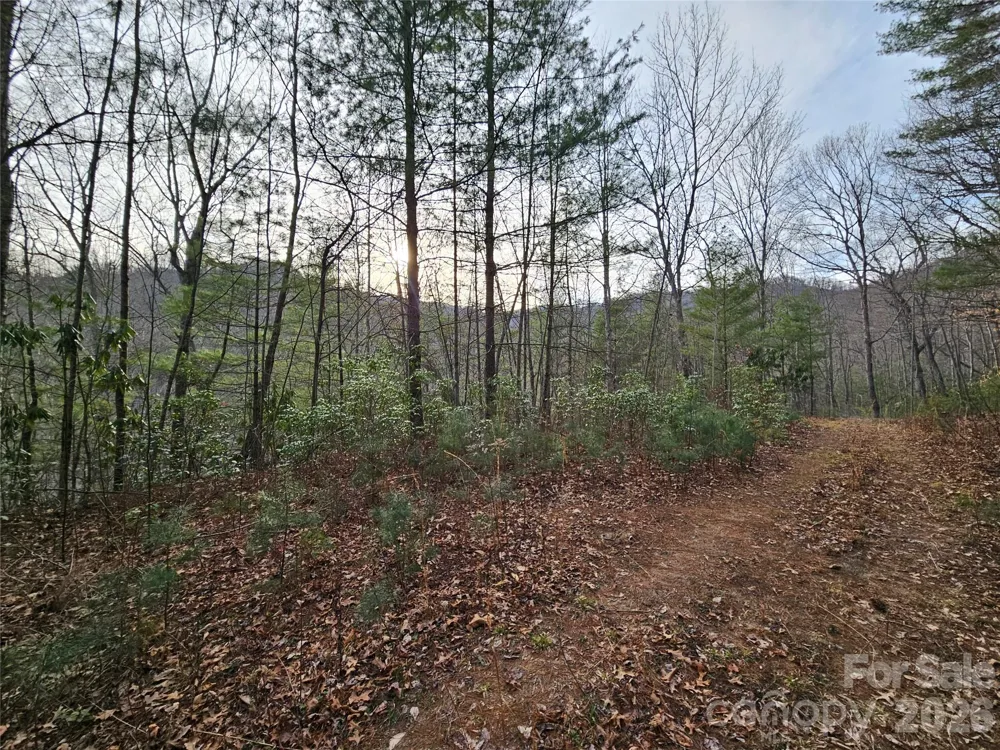 00 Wispy Willow Drive #22T Waynesville, NC 28785