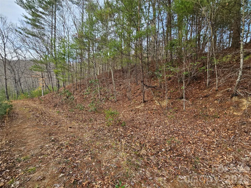 00 Wispy Willow Drive #22T Waynesville, NC 28785