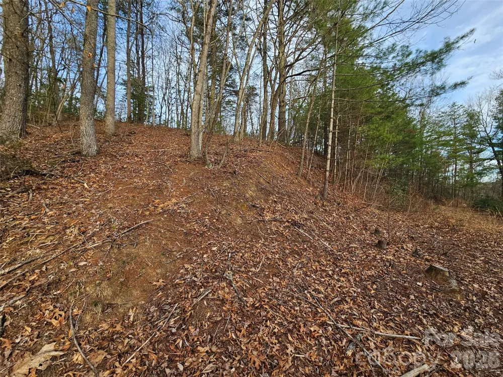 00 Wispy Willow Drive #22T Waynesville, NC 28785