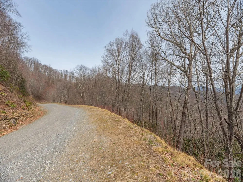 0000 Sigogglin Trail #4 Waynesville, NC 28785