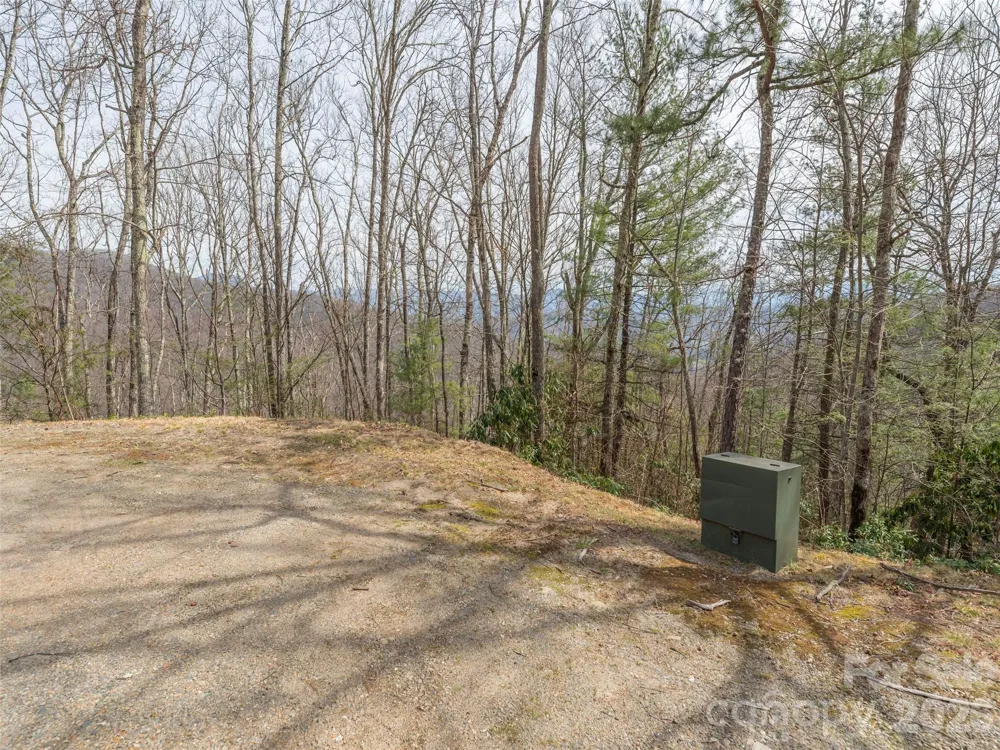 0000 Sigogglin Trail #4 Waynesville, NC 28785