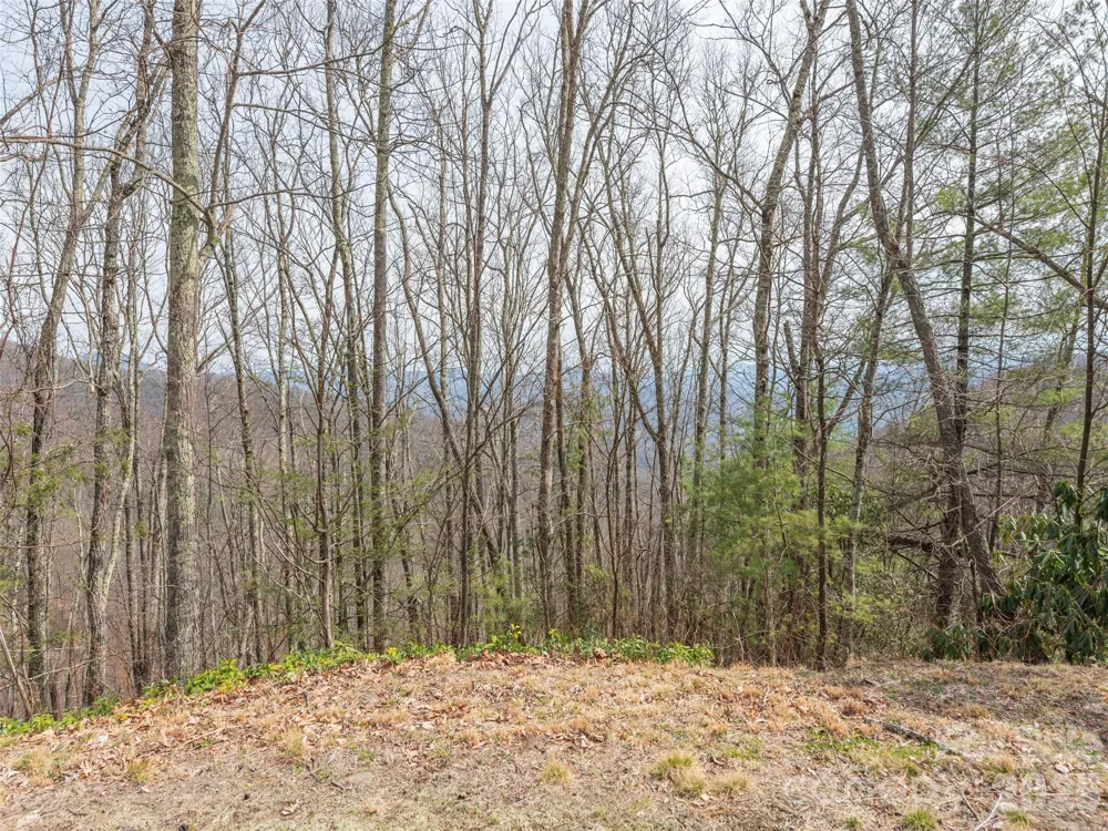 0000 Sigogglin Trail #4 Waynesville, NC 28785