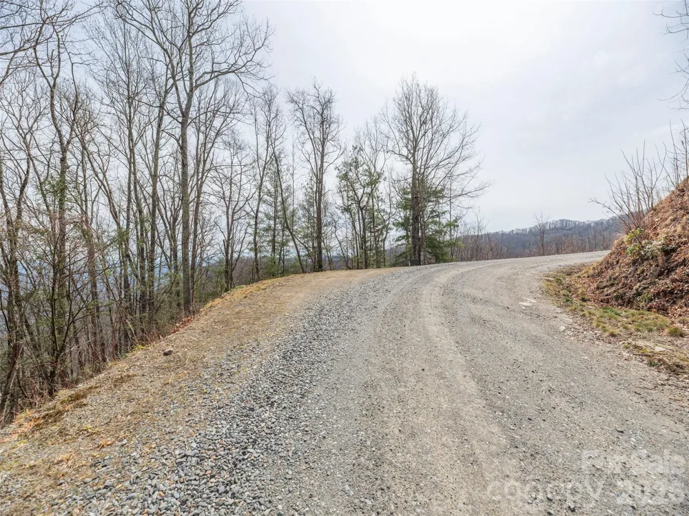 0000 Sigogglin Trail #4 Waynesville, NC 28785