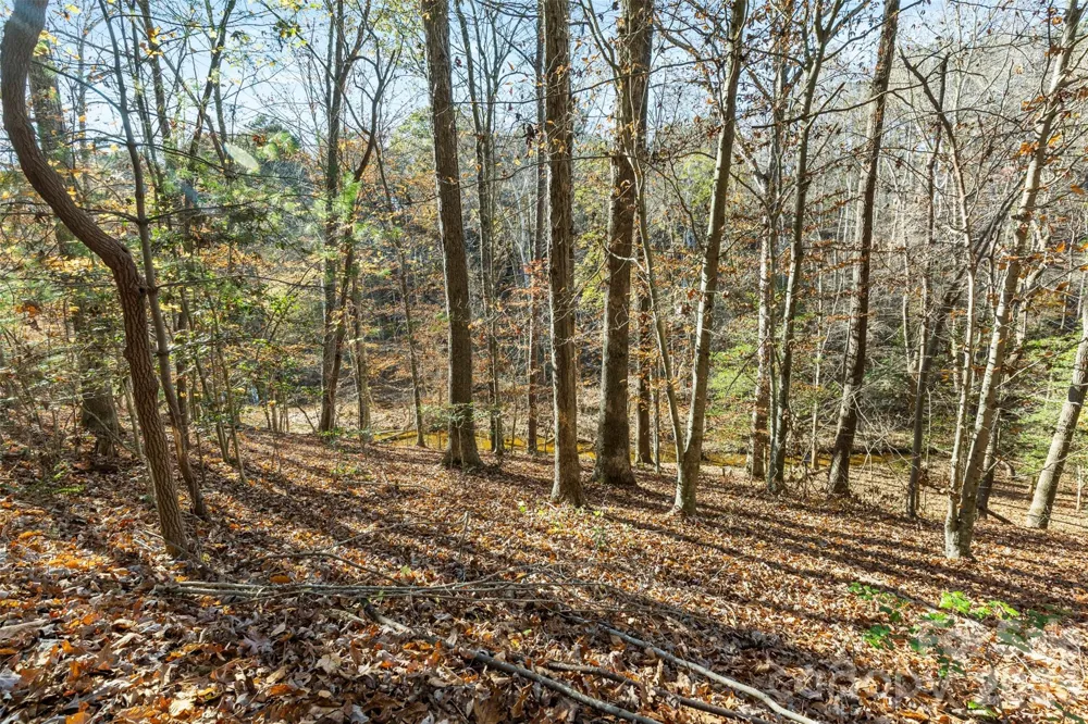 119 Wood Cove Lane Stony Point, NC 28678