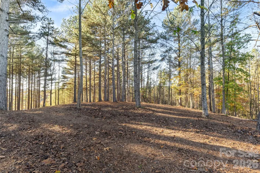 119 Wood Cove Lane Stony Point, NC 28678