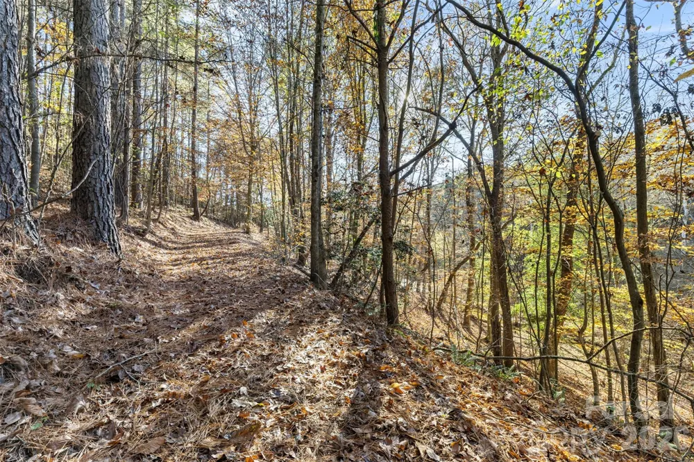 119 Wood Cove Lane Stony Point, NC 28678