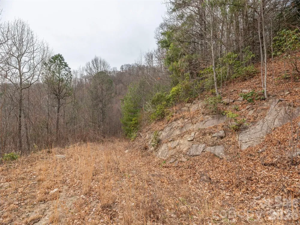 000 Sigogglin Road #17 Waynesville, NC 28786