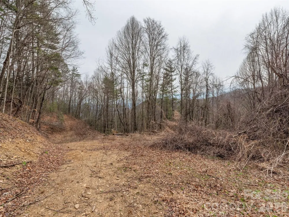 000 Sigogglin Road #17 Waynesville, NC 28786