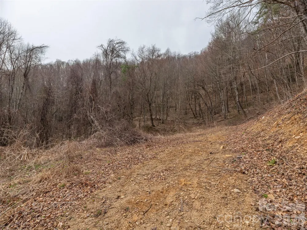 000 Sigogglin Road #17 Waynesville, NC 28786