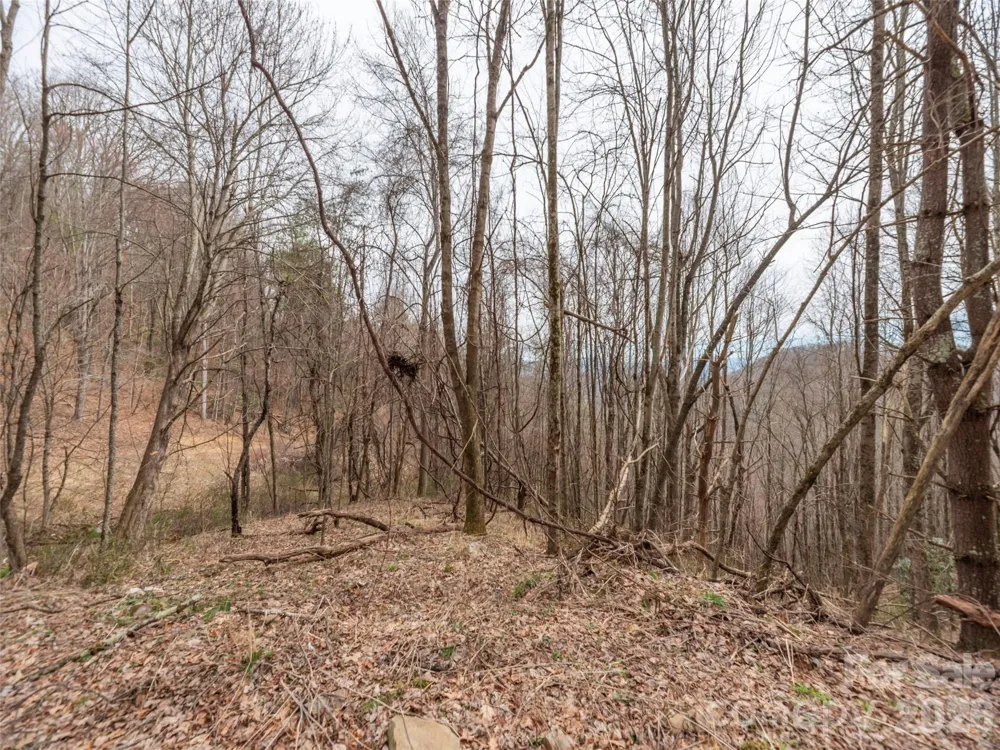 000 Sigogglin Road #17 Waynesville, NC 28786