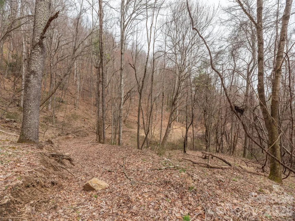 000 Sigogglin Road #17 Waynesville, NC 28786