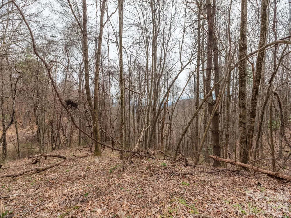 000 Sigogglin Road #17 Waynesville, NC 28786