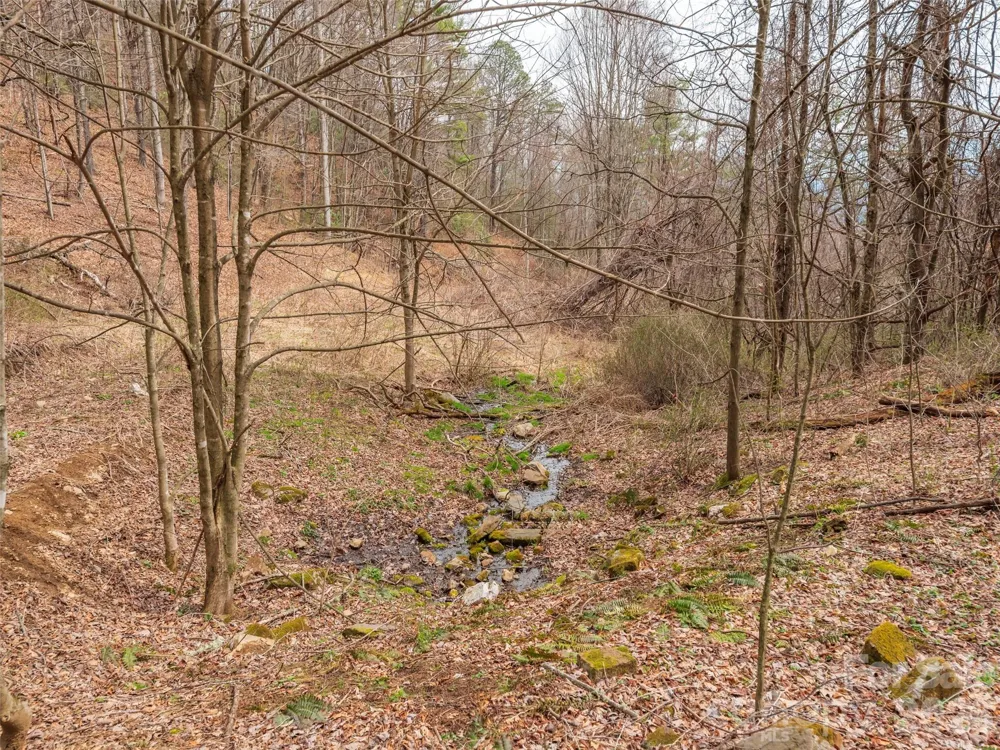 000 Sigogglin Road #17 Waynesville, NC 28786