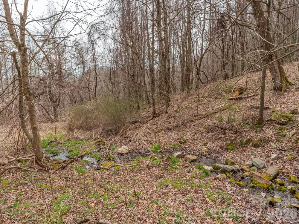 000 Sigogglin Road #17 Waynesville, NC 28786