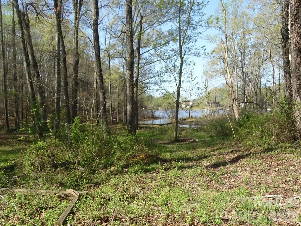 453 Riverview Lane Lexington, NC 27292